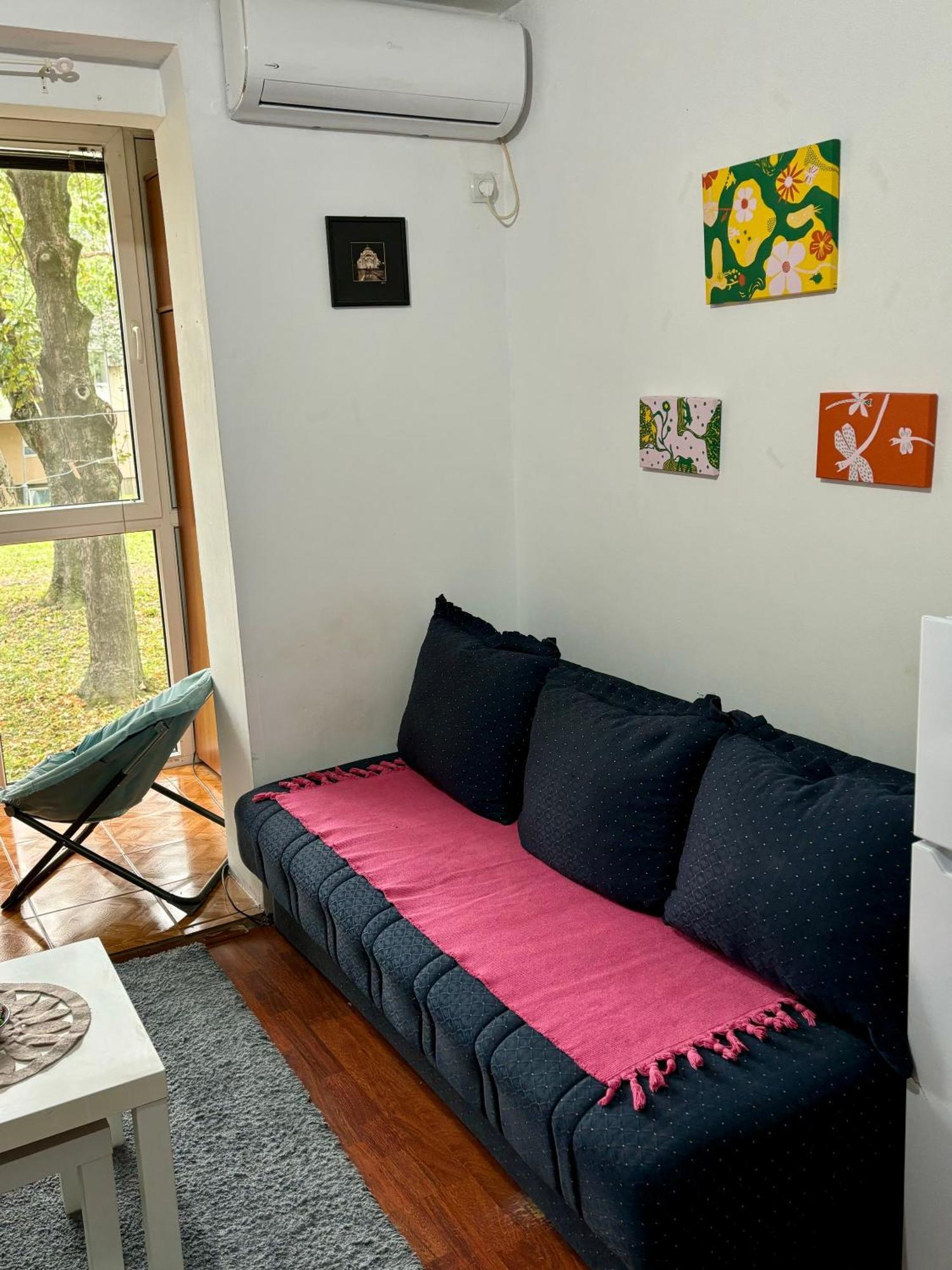 Appartement Apartman Park, Tc Stadion Vozdovac à Belgrade Extérieur photo